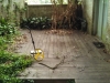 teak1