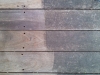 teak2